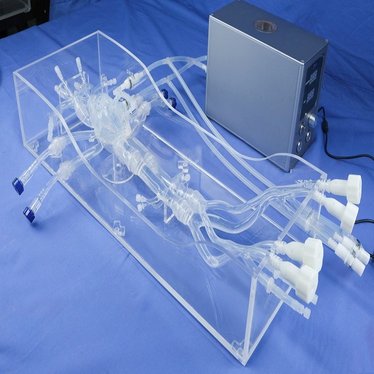 dd1da0e48a3bc63fa1200dc2cf12824