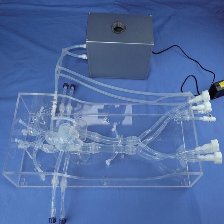 365a42508a7e2347c9b4ee3a426e04c