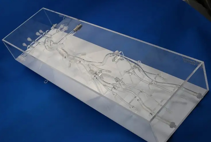 全身血管介入模型